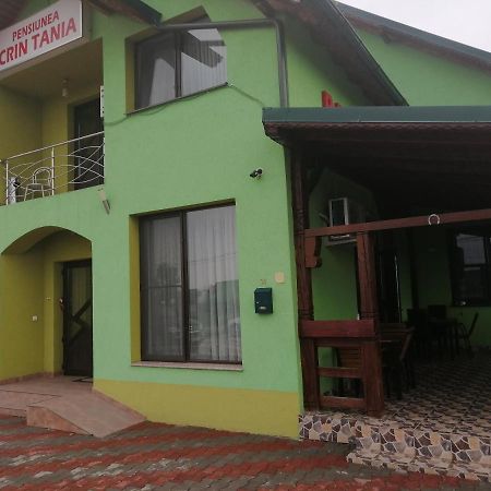 Pensiunea Maria Tania - Restaurant Mioveni Exteriér fotografie